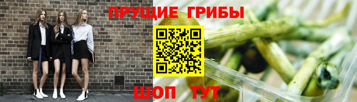 Псилоцибиновые грибы MAGIC MUSHROOMS  Вход с VPN  Ижевск 